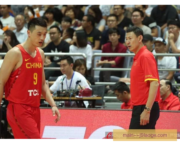 翟晓川林志杰2017年冲突 判罚与追罚尺度值得细看